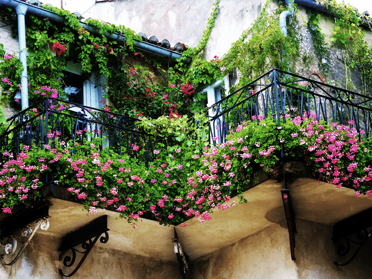 Wohnungsbalkon hängender Garten