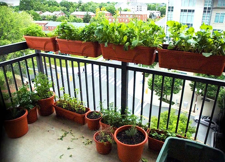 apartment balcony railing garden hangers