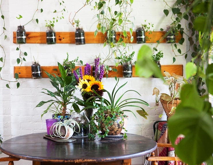 apartment garden ideas mason jars