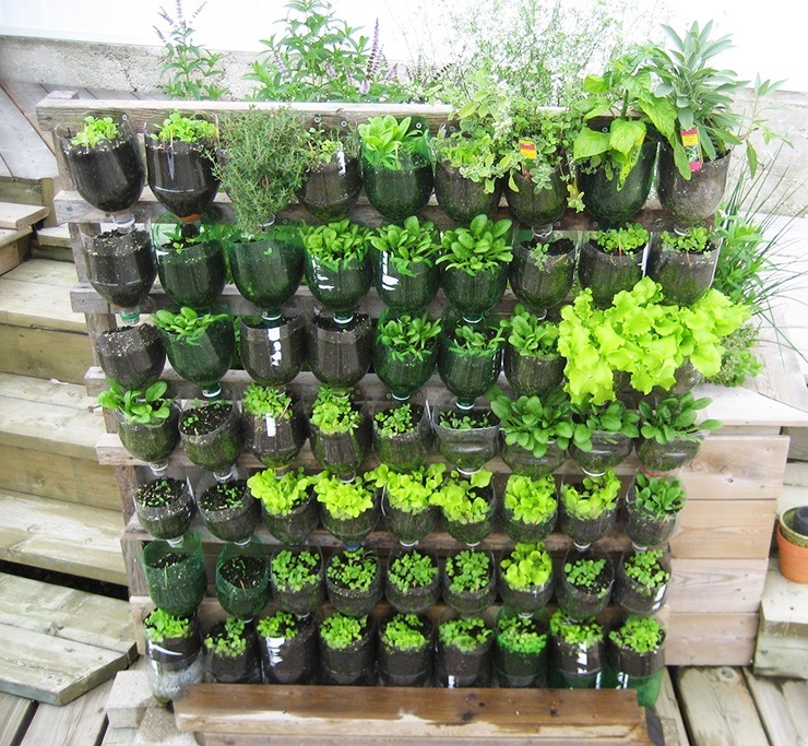 apartment garden ideas with 2 liter planters with watering