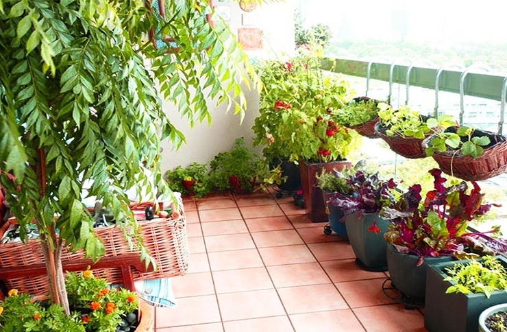 apartment porch garden with hangers