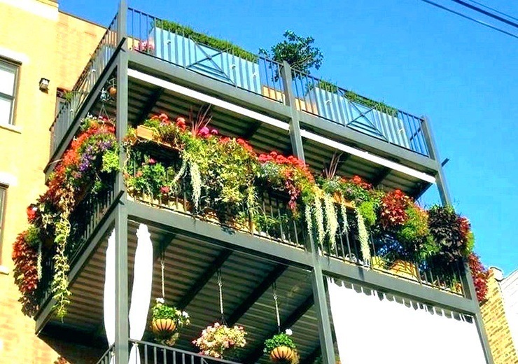 indoor apartment vegetable garden on balcony