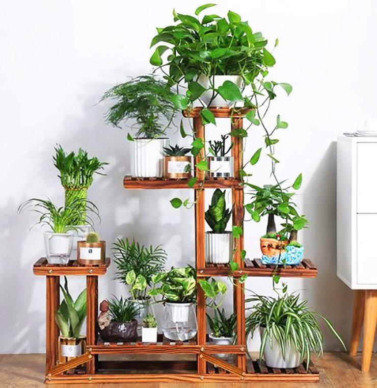 indoor plant appartement stand mini tuin