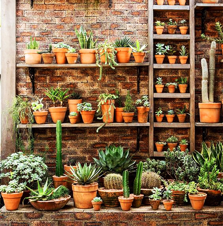 shelf and ladder apartment garden