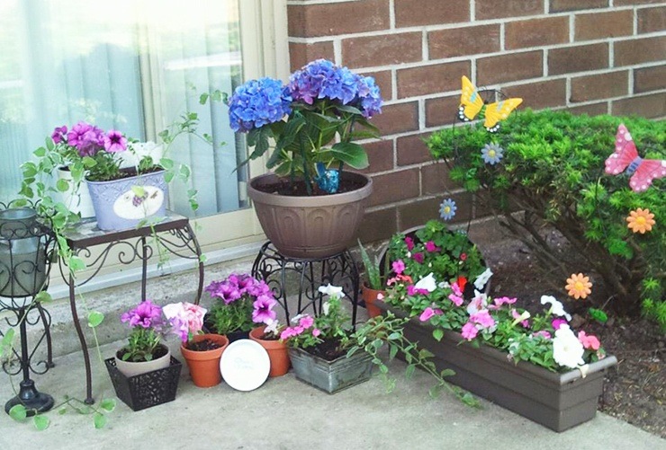 Enkle blomsterhave på lejlighedens terrasse