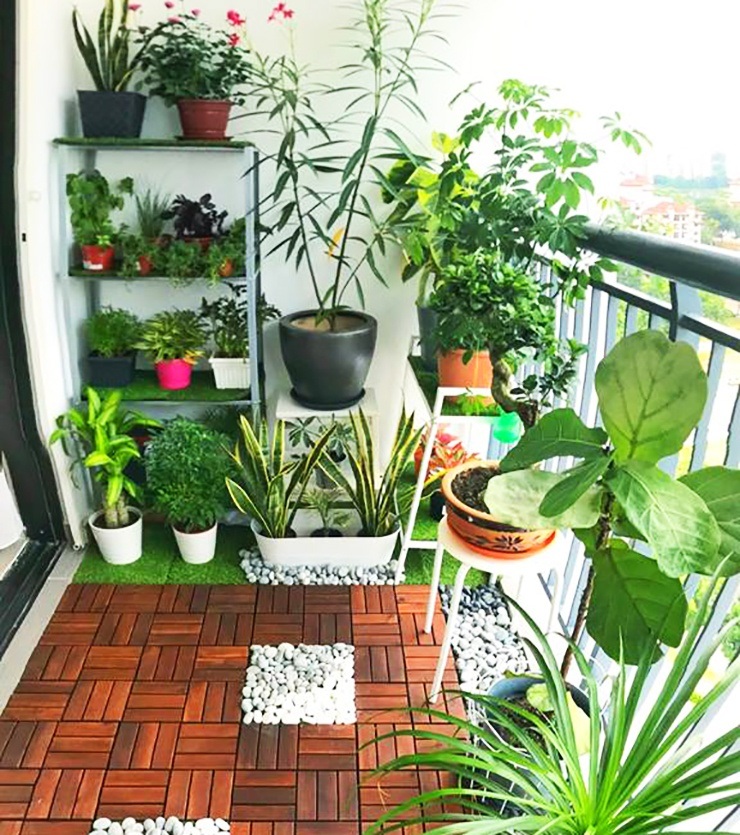 jardin de balcon de petit appartement