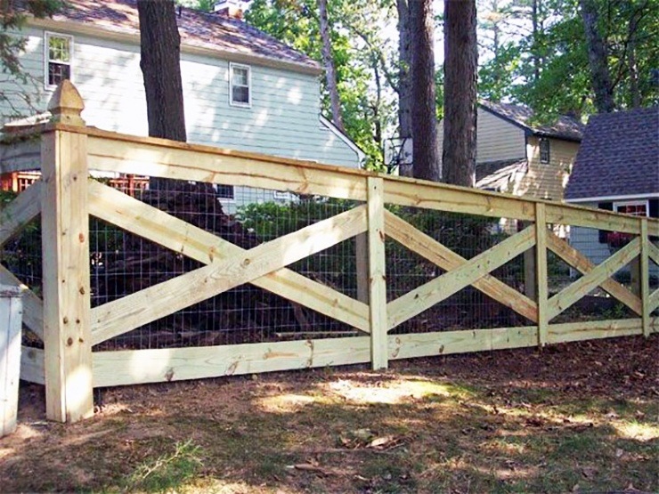 low cost wood fence with chicken wire