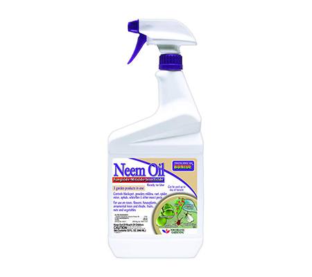 neem oil spray