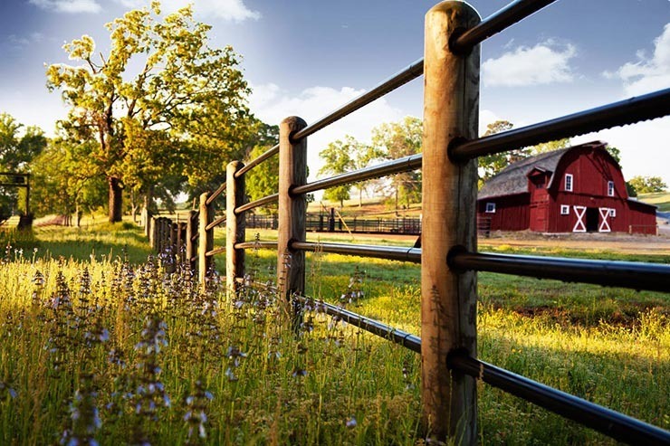 ponderosa rail fence