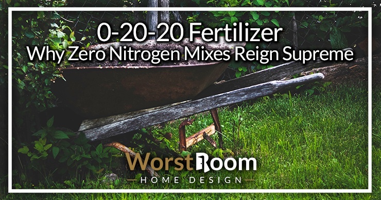 0-20-20 Fertilizer: Why Zero Nitrogen Mixes Reign Supreme ...