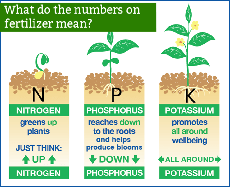 How the three N-P-K Fertilizer Numbers Benefit Plants