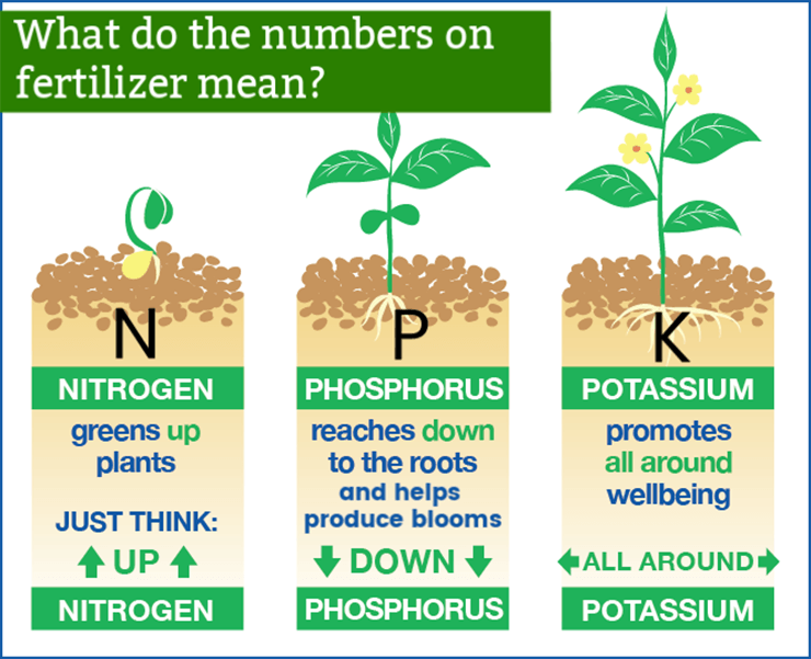 Fertilizer Numbers What N P K Numbers Mean Worst Room