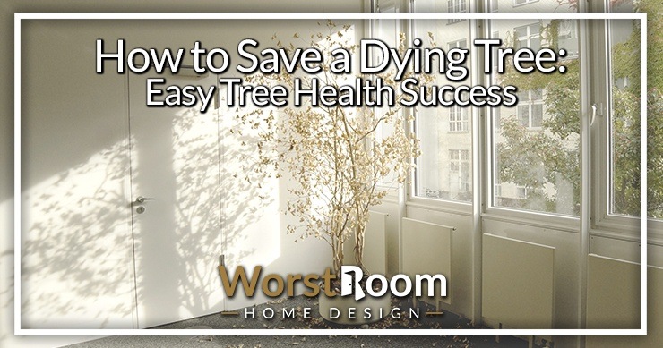 how to save a dying tree