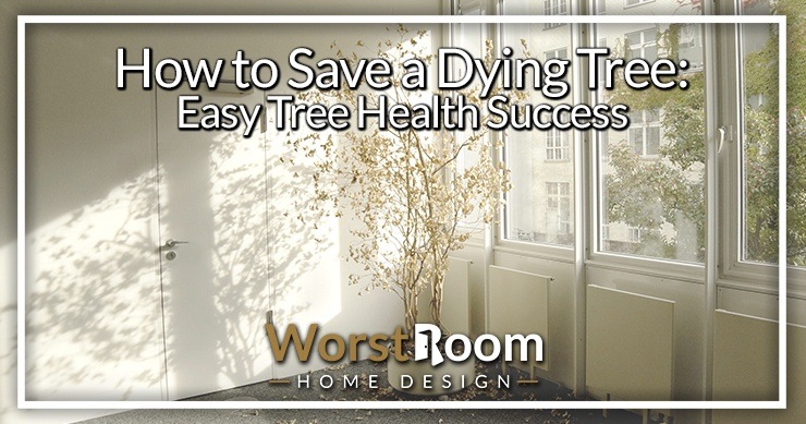 How to Save a Dying Tree: Easy Tree Health Success | Worst ...