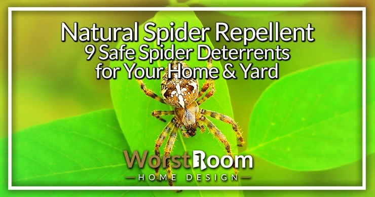 natural spider repellent