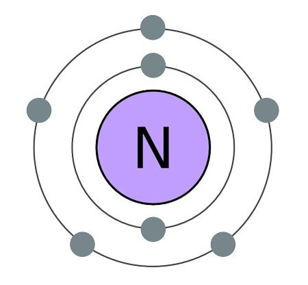 nitrogen atom