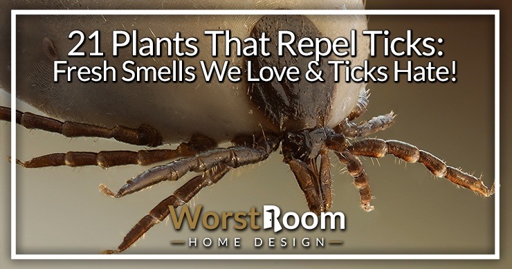plants that repel ticks