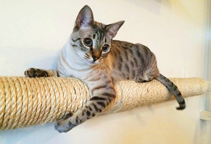 rope pipe cover for cat scratching post and cat tree