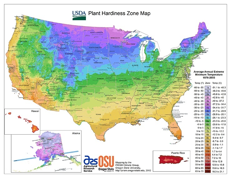 usda plant hardiness zones - best time to plant fruit trees by location