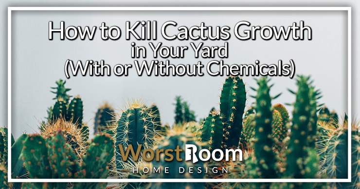 How To Kill Cactus Growth In Your Yard With Or Without Chemicals Wr