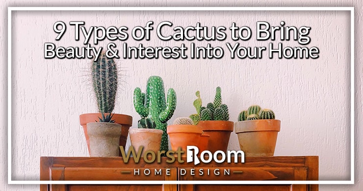 types of cactus