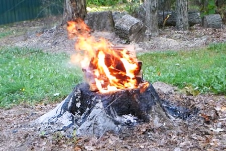 burn tree stump with fire