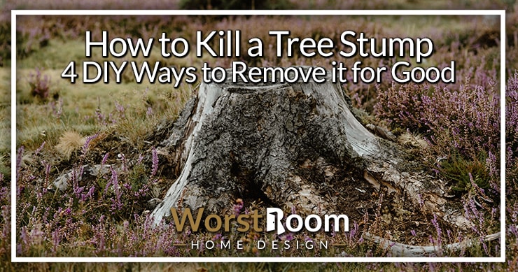 How to Kill a Tree Stump: 4 DIY Ways to Remove it for Good - Worst Room