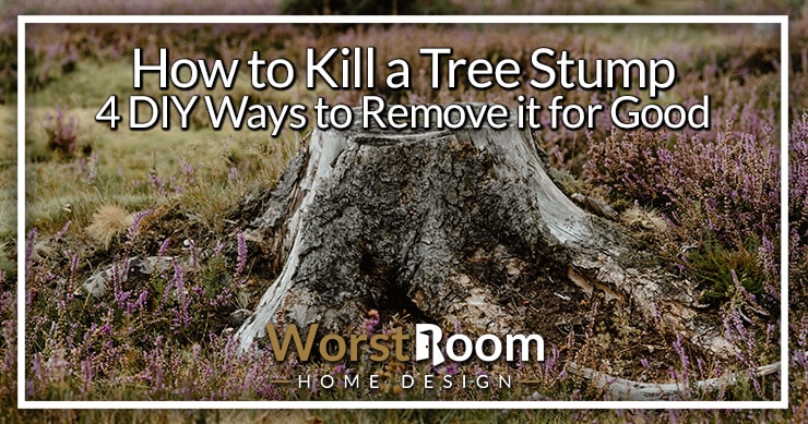 How to Kill a Tree Stump: 4 DIY Ways to Remove it for Good