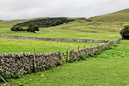 stone fence