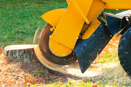 tree stump grinding