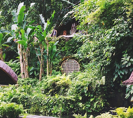 vertical garden fence