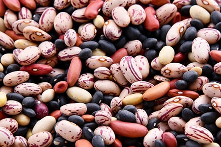 beans are the perfect bulk food for preppers