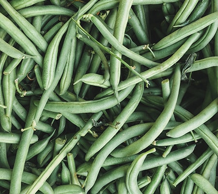 green beans are one of the easiest and tastiest climbing vegetables to grow