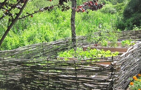 wattle fencing