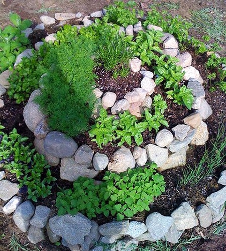 herb spiral garden