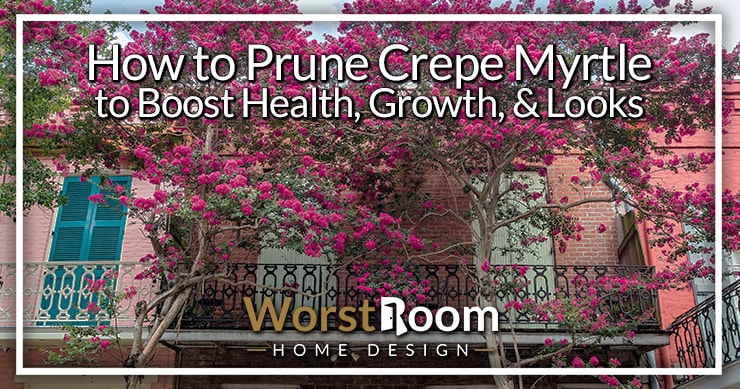how to prune crepe myrtle