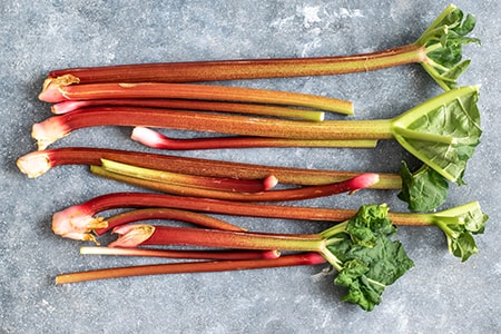 how to store rhubarb