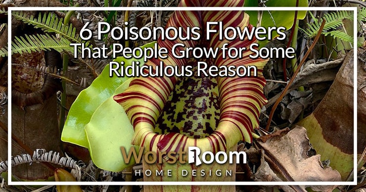 poisonous flowers