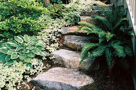 beautiful stone steps