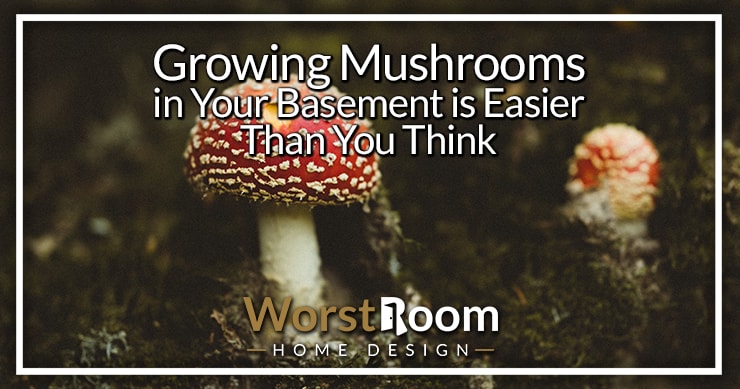 growing mushrooms in your basement