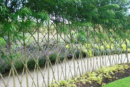 natural fencing