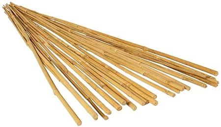 pea sticks stakes for tendrils