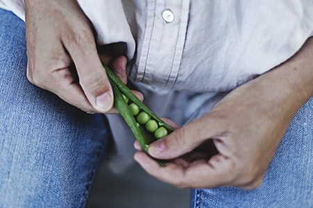 when to harvest peas