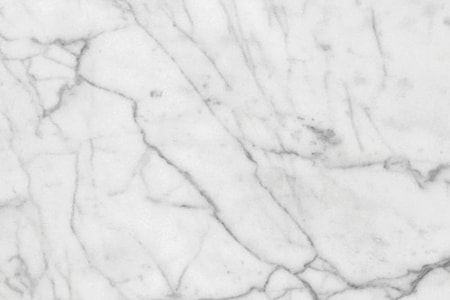 white carrara marble types are a beauty to behold