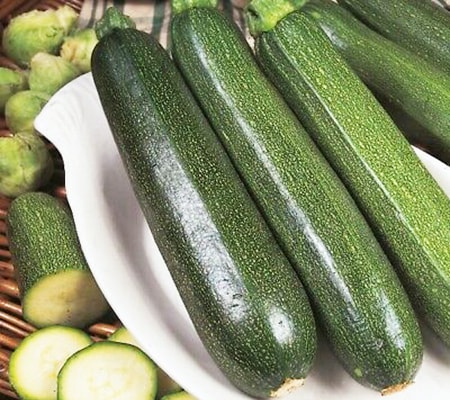 all green bush zucchini are simple but voluminous kinds of zucchini that are easy to grow and great for cooking