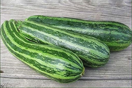 cocozelle Zucchini are zucchini varieties that feature green stripes lengthwise