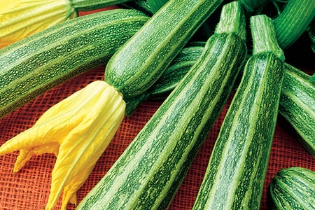 Gadzukes Zucchini sind Zucchinisorten, die nach dem Schneiden sternförmig sind