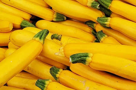 gourmet guld zucchini är sorter av zucchini som är gyllengul färg