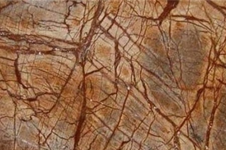 rainforest brown marble