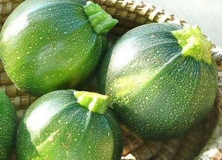  rund zucchini är de mest unika typerna på grund av sin runda form som mycket liknar en boll